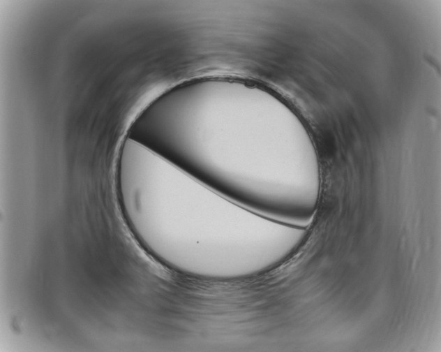 X0000097981375200803241032