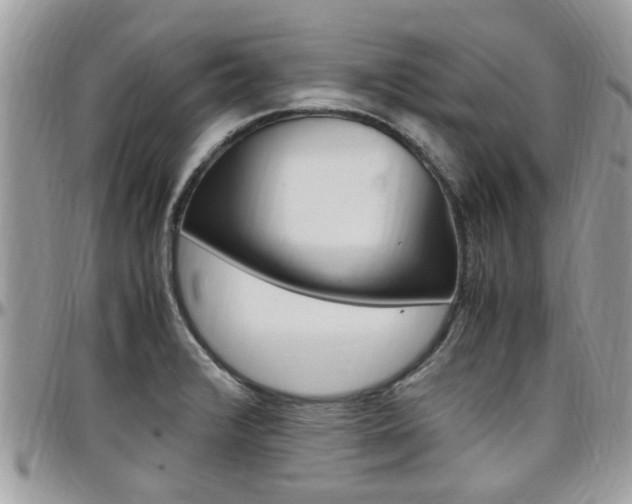 X0000097981376200803241032