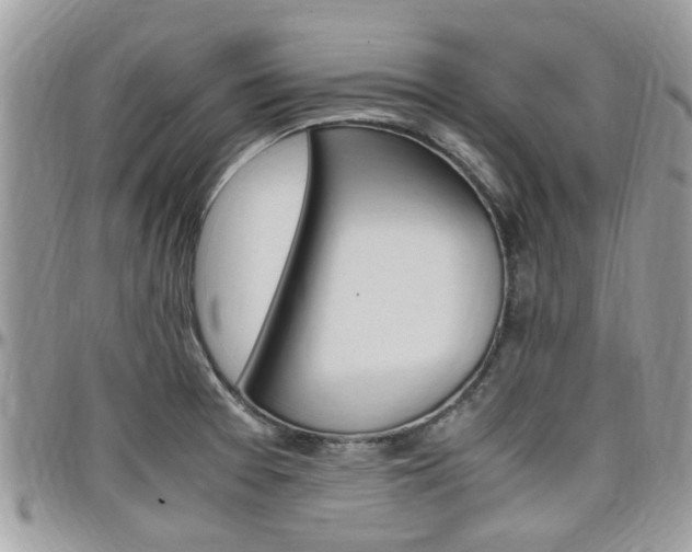 X0000097981377200803241032