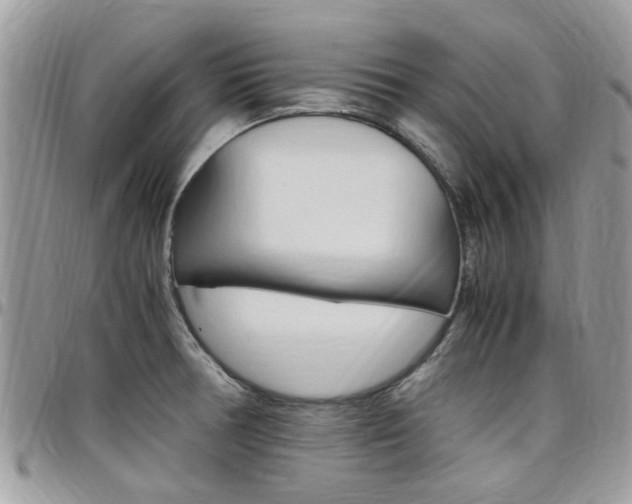 X0000097981378200803241032