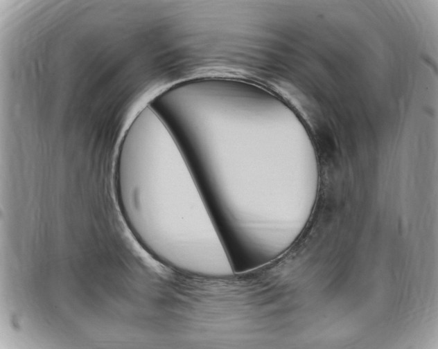 X0000097981379200803241032