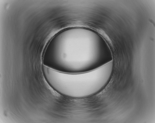 X0000097981380200803241032