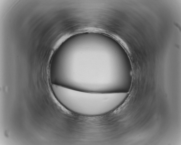 X0000097981381200803241032