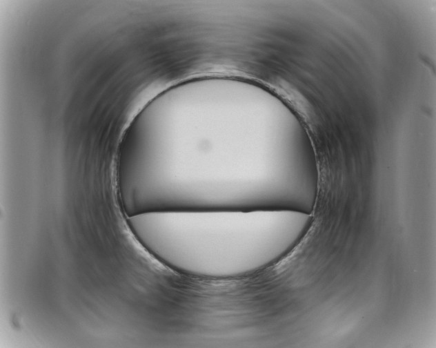 X0000097981382200803241032