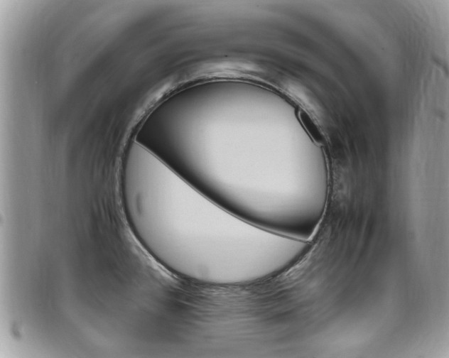 X0000097981384200803241032