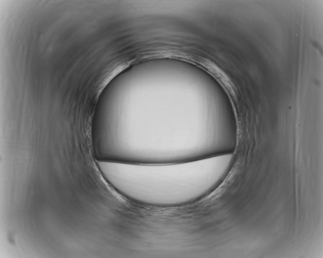 X0000097981385200803241032