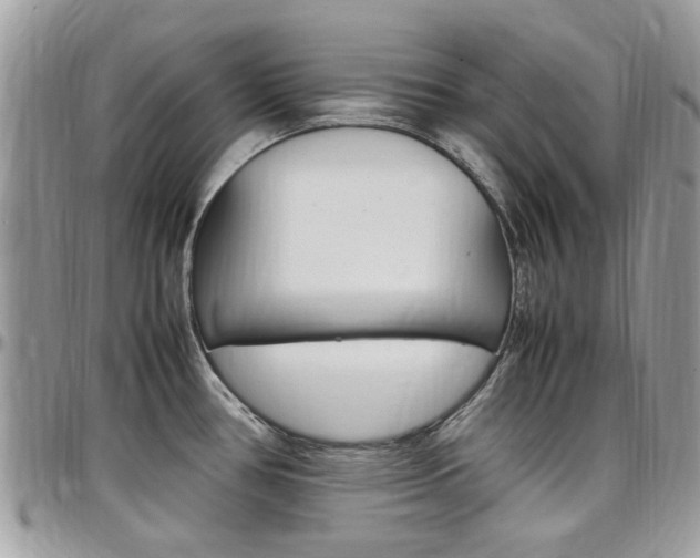 X0000097981386200803241032
