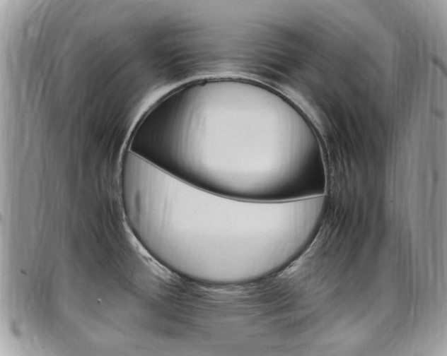 X0000097981388200803241032