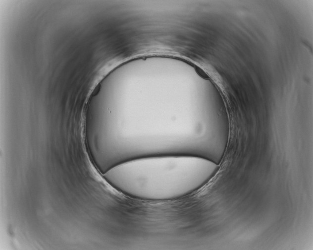 X0000097981390200803241032
