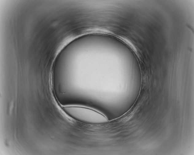 X0000097981391200803241032
