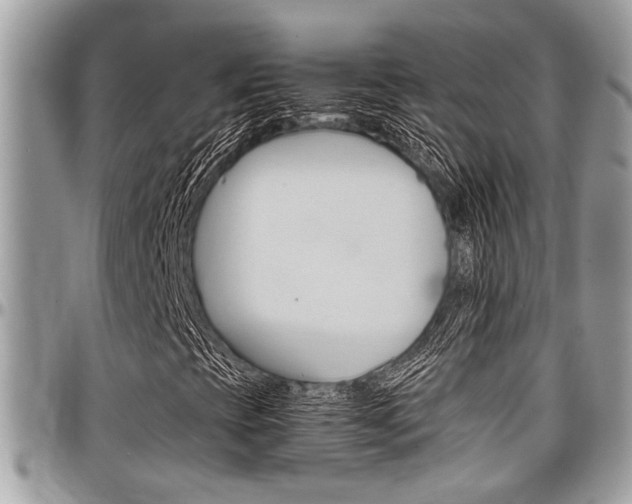 X0000097981393200803241031