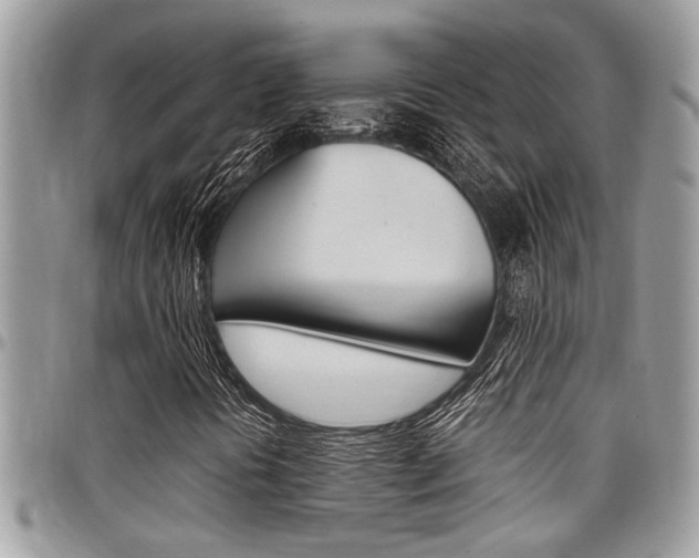 X0000097981394200803241031