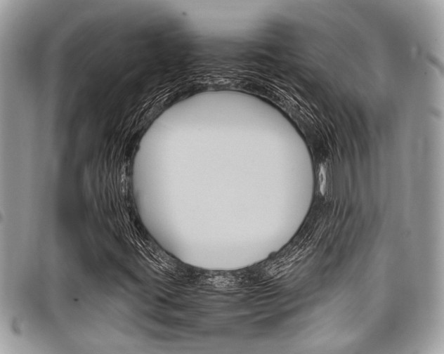 X0000097981395200803241031