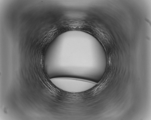 X0000097981396200803241031