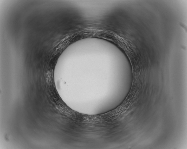 X0000097981397200803241031
