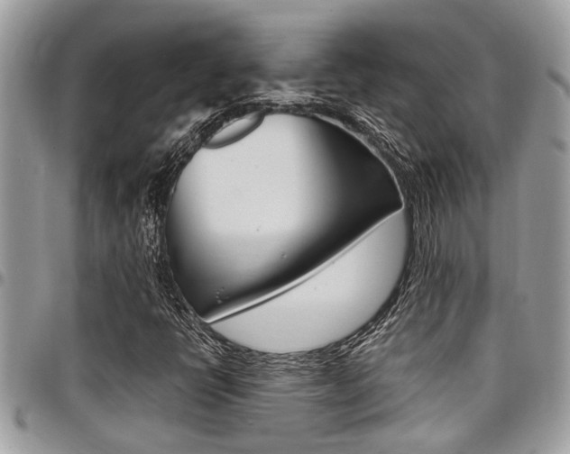 X0000097981398200803241031