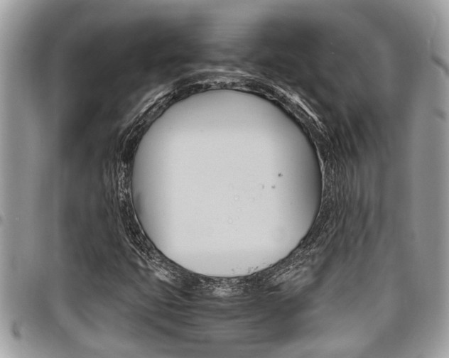 X0000097981399200803241031