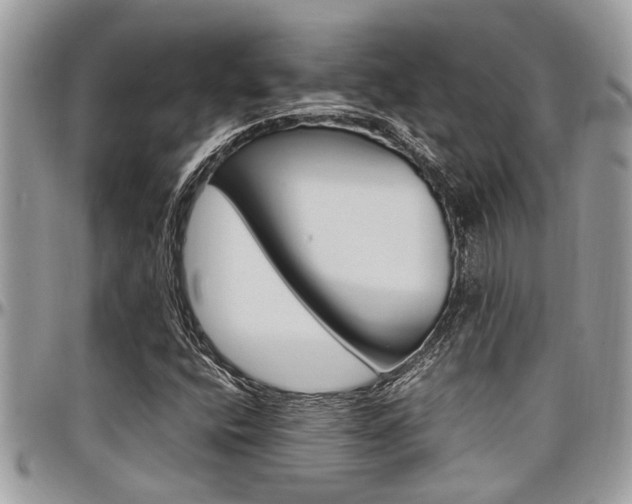 X0000097981400200803241031