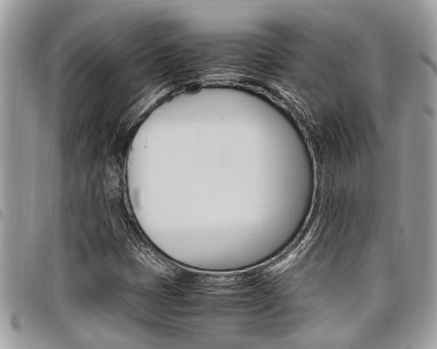 X0000097981401200803241031