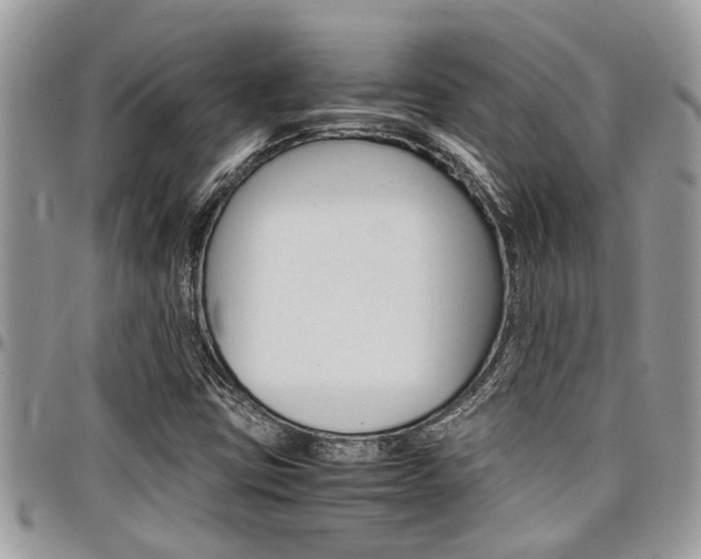 X0000097981403200803241031