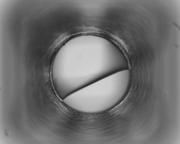 X0000097981407200803241031