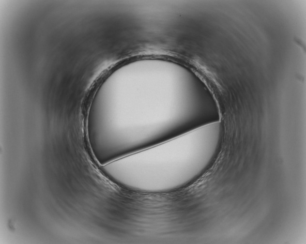X0000097981408200803241031