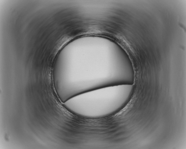 X0000097981409200803241031