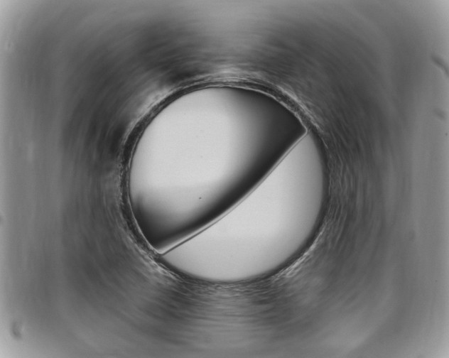 X0000097981410200803241031