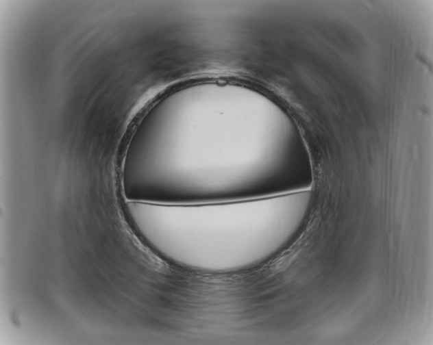X0000097981412200803241031