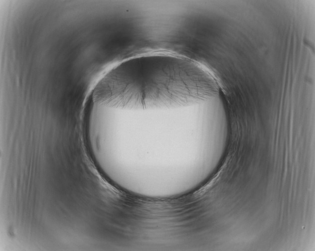 X0000097981414200803241031