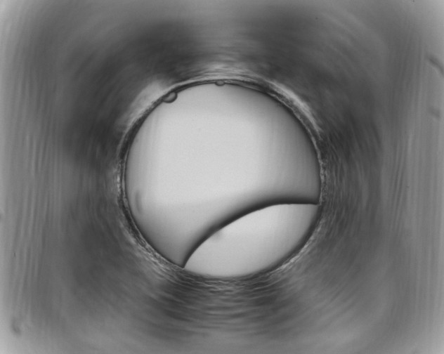 X0000097981415200803241031