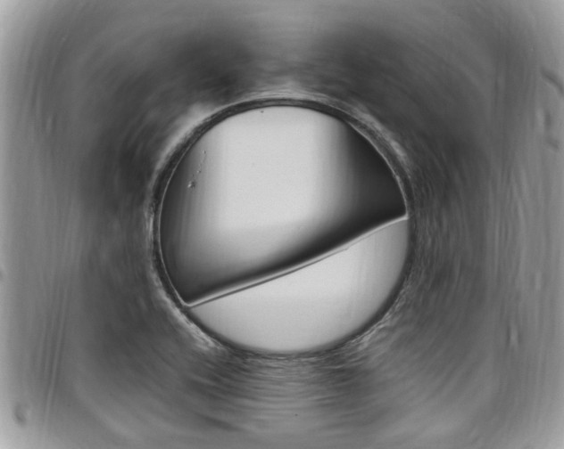 X0000097981416200803241031