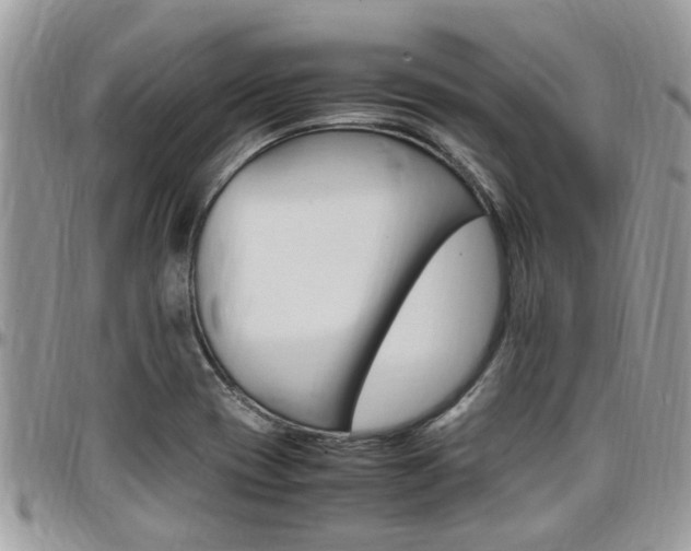 X0000097981417200803241031