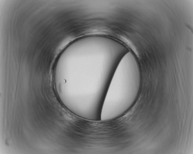 X0000097981419200803241031
