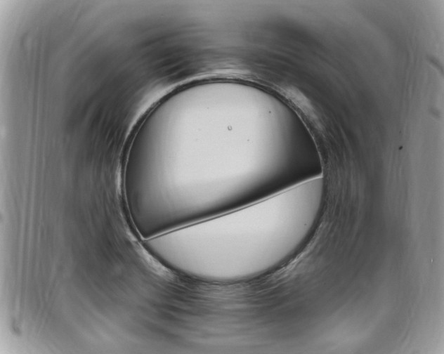 X0000097981420200803241031