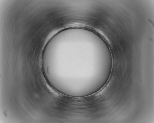 X0000097981421200803241031