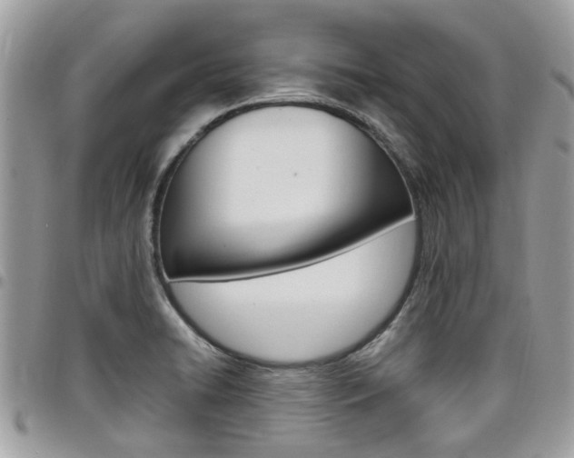 X0000097981422200803241031