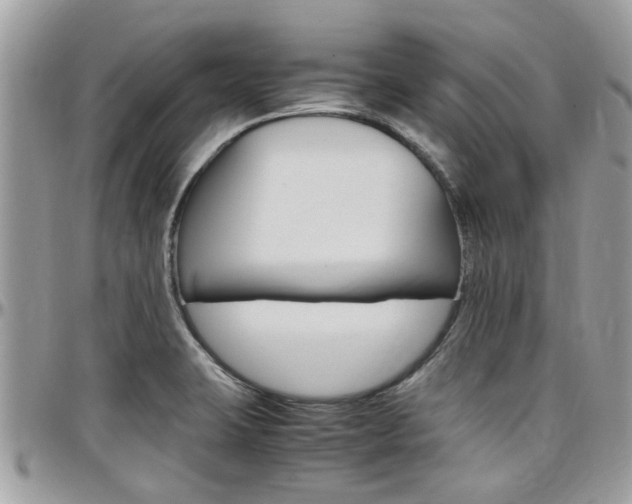 X0000097981423200803241031