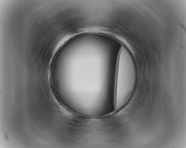 X0000097981424200803241031