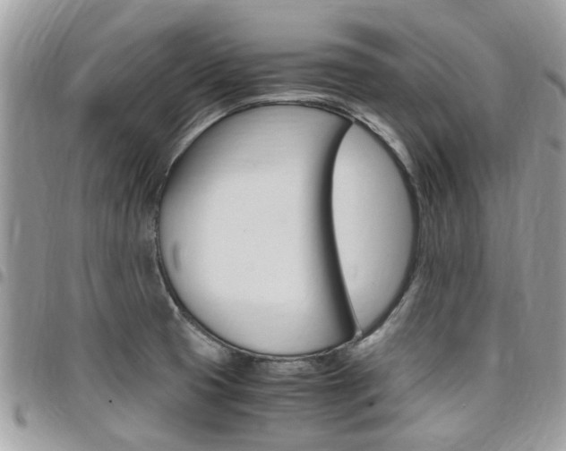 X0000097981425200803241031