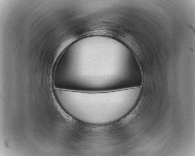 X0000097981426200803241031