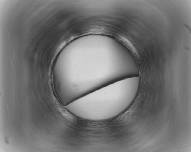 X0000097981427200803241031