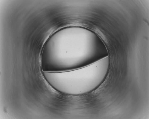 X0000097981428200803241031