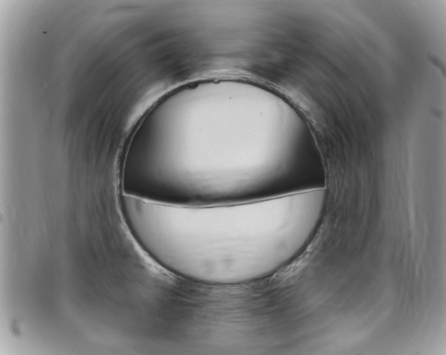 X0000097981430200803241031