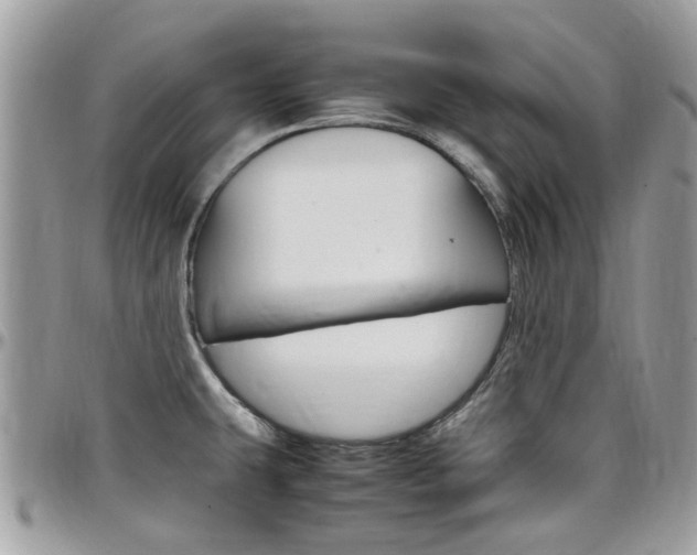 X0000097981431200803241031