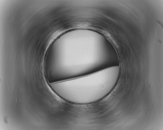 X0000097981432200803241032