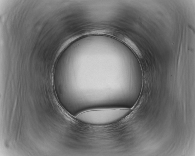 X0000097981436200803241032