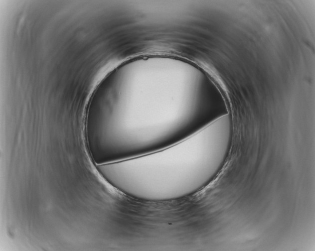 X0000097981437200803241032