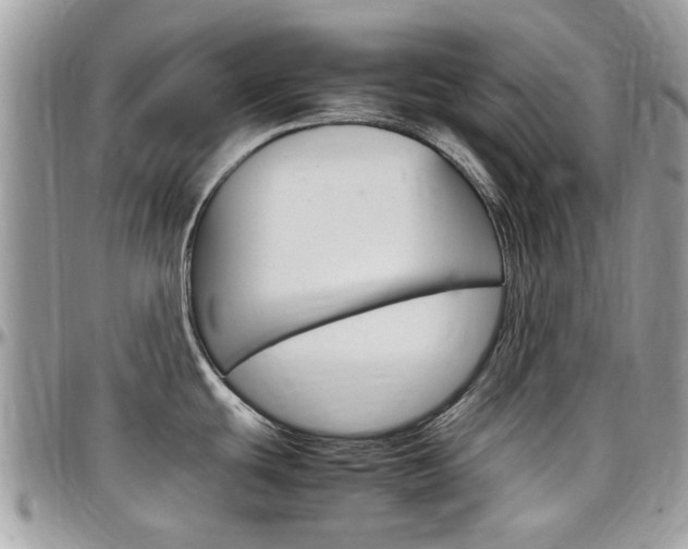 X0000097981439200803241032