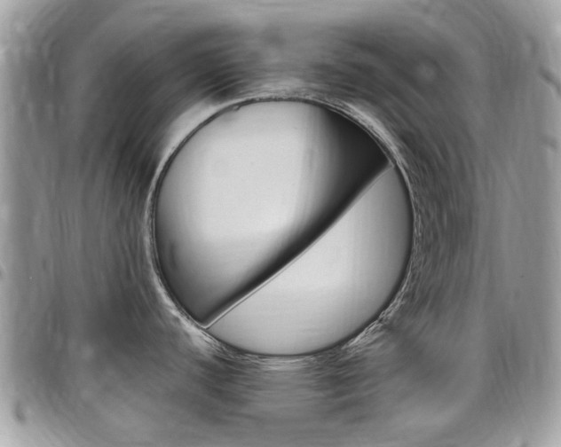 X0000097981440200803241032
